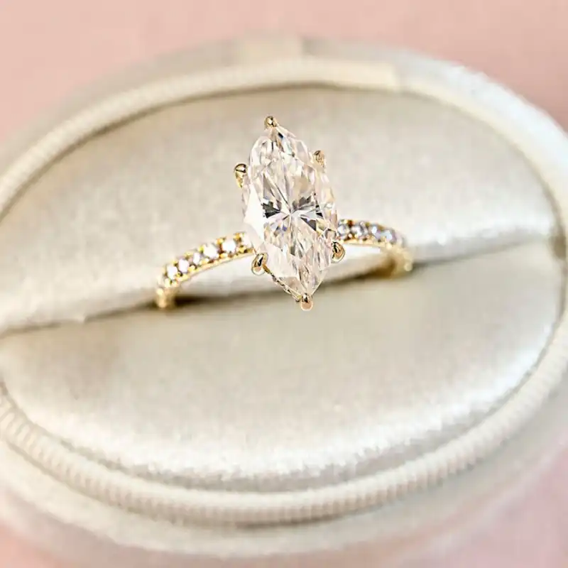 /public/photos/live/111 (2).webp